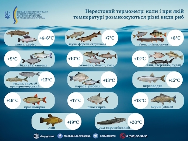 Депутат Алексей Волоцков рискует двумя годами тюрьмы за улов