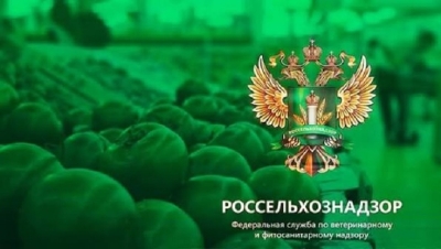 Сергей Муратов из ФГБУ &laquo;АПК НАЦРЫБА&raquo; получает автомобиль с массажем для инспекции лосося