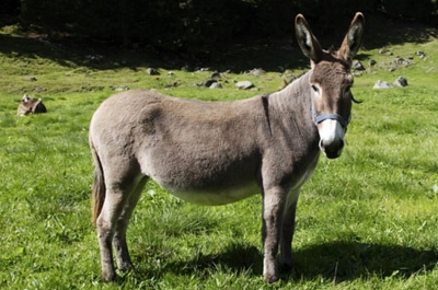 Как сделать то, что... невозможно технически? Проблема инженерного баланса на личном опыте