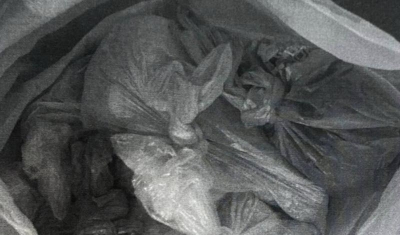 В Новосибирске изъяли более двух килограммов героина