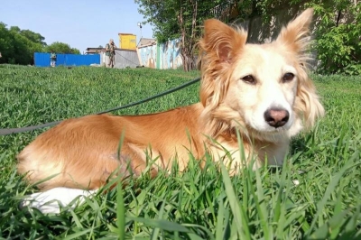 Когда замещение не удалось во всех смыслах