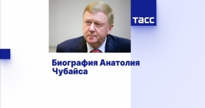 Александр Розенцвайг и его сафари не спасли Чубайса от иска &laquo;Роснано&raquo;